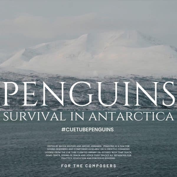 "Penguins - Survival in Antarctica" scored by William da Rocha.