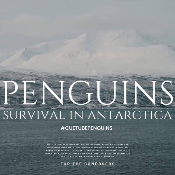 "Penguins - Survival in Antarctica" scored by William da Rocha.